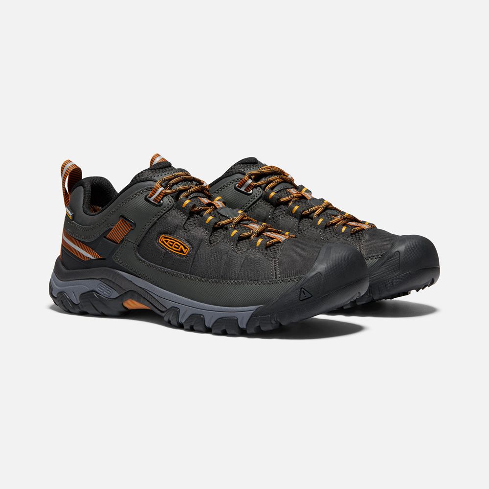 Chaussure de Randonnée Keen Homme Noir/Doré | Targhee Exp Waterproof | GHDOE-9378